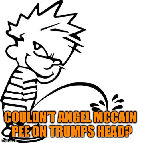 Calvin Peeing | COULDN’T ANGEL MCCAIN 
PEE ON TRUMPS HEAD? | image tagged in calvin peeing | made w/ Imgflip meme maker