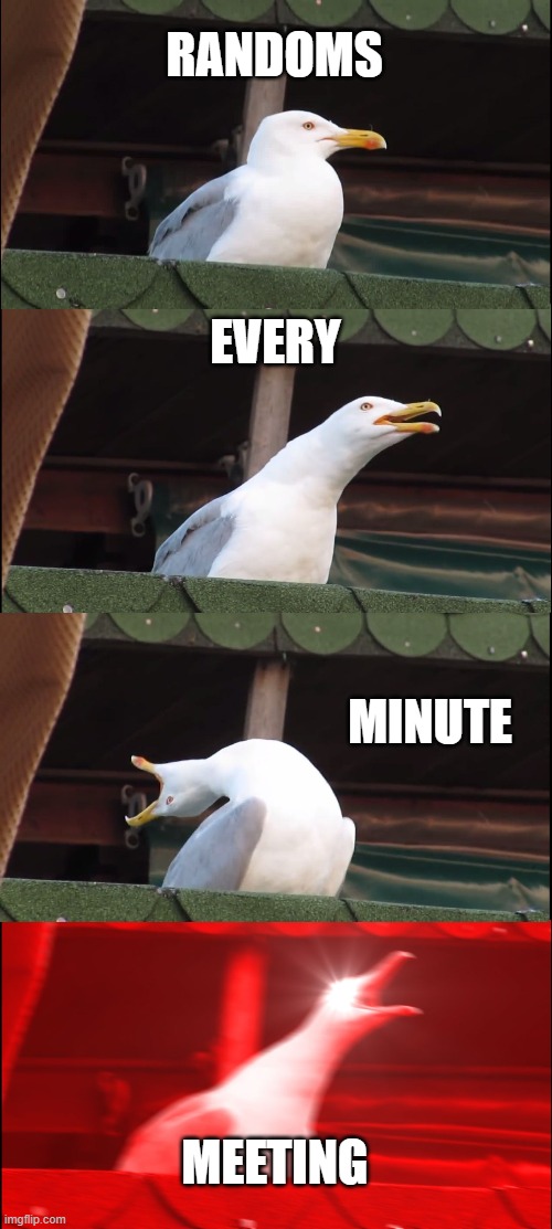 Inhaling Seagull | RANDOMS; EVERY; MINUTE; MEETING | image tagged in memes,inhaling seagull,among us,emergency meeting among us,random,among us meeting | made w/ Imgflip meme maker