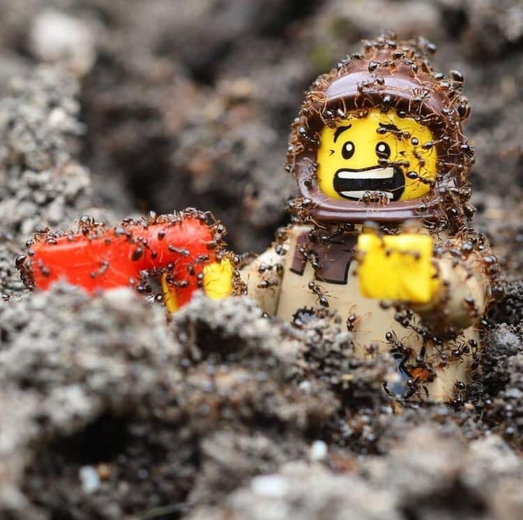 Lego + Ants Blank Meme Template