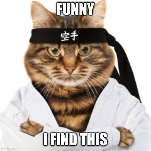 Karate cat | FUNNY; I FIND THIS | image tagged in karate cat | made w/ Imgflip meme maker
