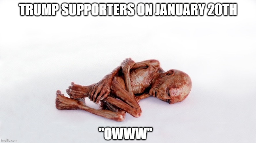 Apply Some Ointment | TRUMP SUPPORTERS ON JANUARY 20TH; "OWWW" | image tagged in weak voldemort,donald trump,joe biden,election 2020,kamala harris | made w/ Imgflip meme maker
