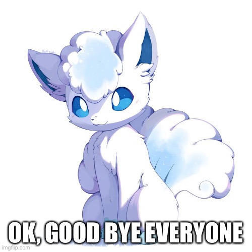 Time to take a break so I can keep my sanity | OK, GOOD BYE EVERYONE | made w/ Imgflip meme maker