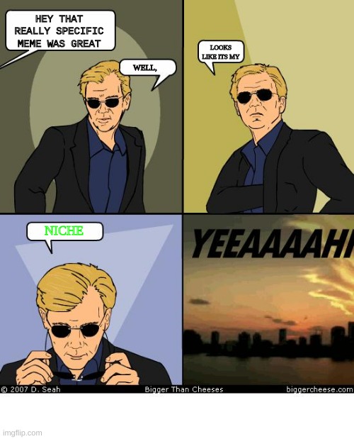 Niche memes | HEY THAT REALLY SPECIFIC MEME WAS GREAT; LOOKS LIKE ITS MY; WELL, NICHE | image tagged in horatio caine | made w/ Imgflip meme maker