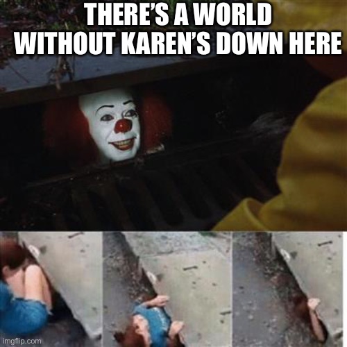 I wish | THERE’S A WORLD WITHOUT KAREN’S DOWN HERE | image tagged in pennywise in sewer,karen | made w/ Imgflip meme maker