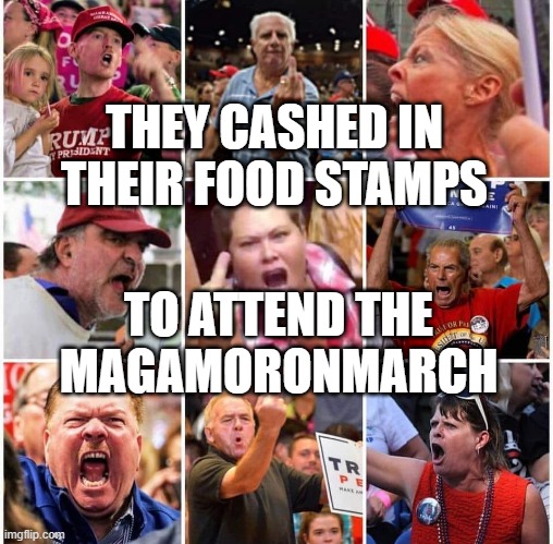 MAGA MAGAMILLIONMARCH DONALD TRUMP republicans GOP Trump Supporters Fox News Food Stamps Welfare Politics | THEY CASHED IN THEIR FOOD STAMPS; TO ATTEND THE MAGAMORONMARCH | image tagged in triggered trump supporters | made w/ Imgflip meme maker