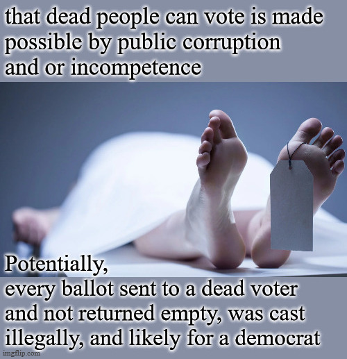 why can dead people vote for either party? | image tagged in voter fraud | made w/ Imgflip meme maker