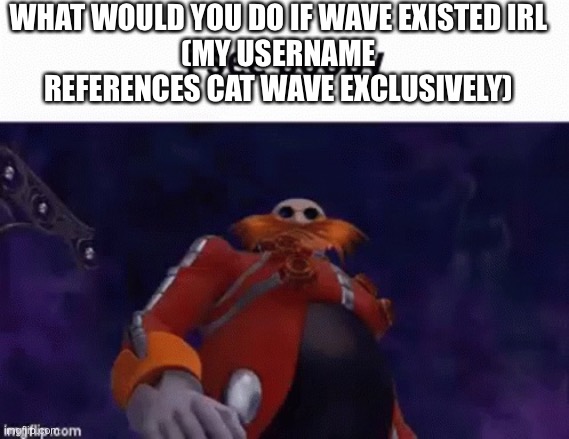 Egmen se poo | WHAT WOULD YOU DO IF WAVE EXISTED IRL
(MY USERNAME REFERENCES CAT WAVE EXCLUSIVELY) | image tagged in egmen se poo | made w/ Imgflip meme maker