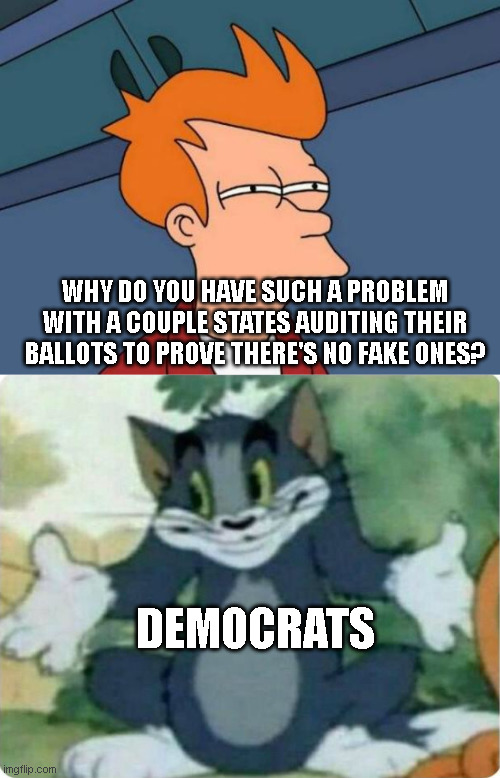 WHY DO YOU HAVE SUCH A PROBLEM WITH A COUPLE STATES AUDITING THEIR BALLOTS TO PROVE THERE'S NO FAKE ONES? DEMOCRATS | image tagged in memes,futurama fry,tom shrugging | made w/ Imgflip meme maker