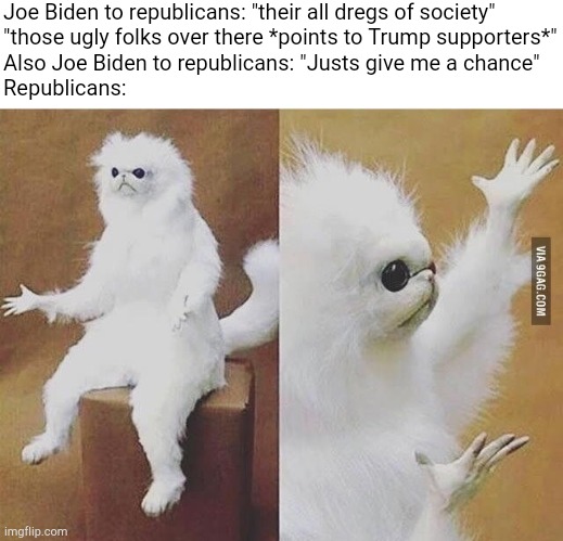 Confused white monkey | Joe Biden to republicans: "their all dregs of society"
"those ugly folks over there *points to Trump supporters*"
Also Joe Biden to republicans: "Justs give me a chance"
Republicans: | image tagged in confused white monkey | made w/ Imgflip meme maker
