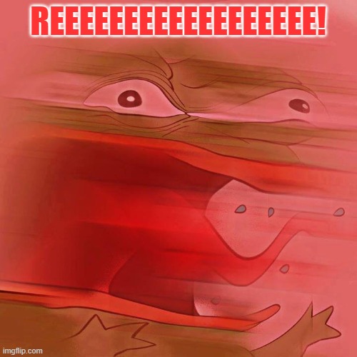 REEEEEEEEEEEE | REEEEEEEEEEEEEEEEEE! | image tagged in reeeeeeeeeeee | made w/ Imgflip meme maker