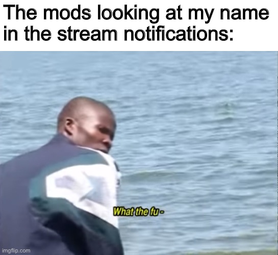 Has this been done? | The mods looking at my name in the stream notifications: | image tagged in what the fu- | made w/ Imgflip meme maker