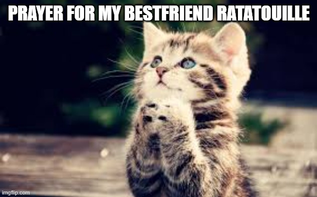 prayer | PRAYER FOR MY BESTFRIEND RATATOUILLE | image tagged in prayer | made w/ Imgflip meme maker