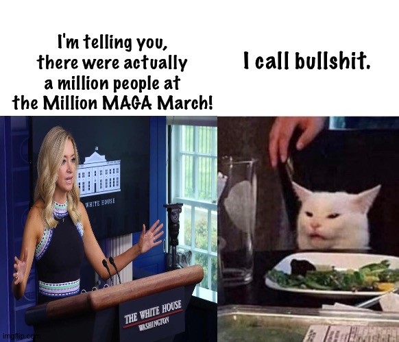 A million?  Really? | I'm telling you, there were actually a million people at the Million MAGA March! I call bullshit. | image tagged in kayleigh yelling at cat | made w/ Imgflip meme maker