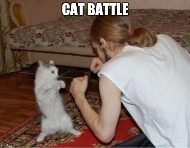 Fighting cat |  CAT BATTLE | image tagged in fighting cat | made w/ Imgflip meme maker