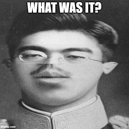 Squished Hirohito | WHAT WAS IT? | image tagged in squished hirohito | made w/ Imgflip meme maker