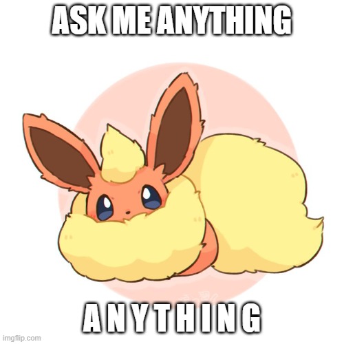 Too much floof | ASK ME ANYTHING; A N Y T H I N G | image tagged in too much floof | made w/ Imgflip meme maker