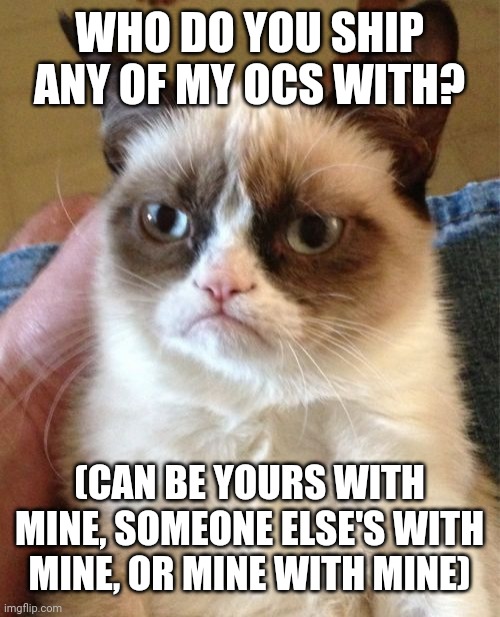 Grumpy Cat | WHO DO YOU SHIP ANY OF MY OCS WITH? (CAN BE YOURS WITH MINE, SOMEONE ELSE'S WITH MINE, OR MINE WITH MINE) | image tagged in memes,grumpy cat | made w/ Imgflip meme maker
