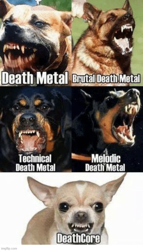 The Metal Dogs (Gods) | image tagged in the metal dogs memes,metal mania memes | made w/ Imgflip meme maker