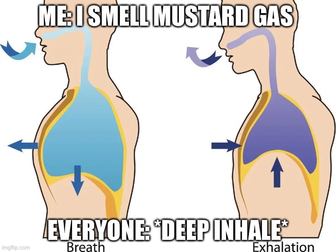Why do we do this | ME: I SMELL MUSTARD GAS; EVERYONE: *DEEP INHALE* | image tagged in tru,meme,funny | made w/ Imgflip meme maker