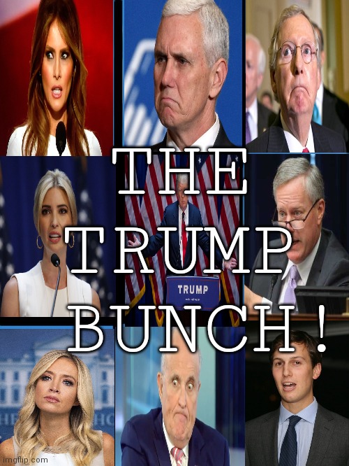 Trump | THE
 TRUMP 
 BUNCH! | image tagged in brady bunch squares | made w/ Imgflip meme maker