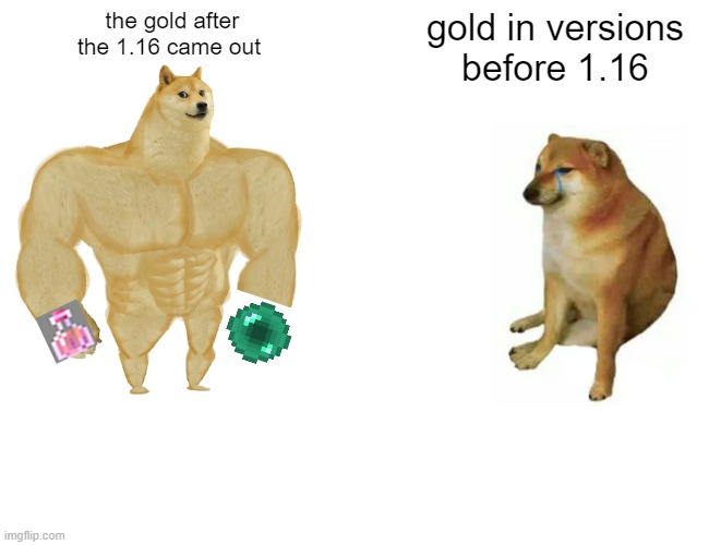 Buff Doge vs. Cheems | the gold after the 1.16 came out; gold in versions before 1.16 | image tagged in memes,buff doge vs cheems | made w/ Imgflip meme maker