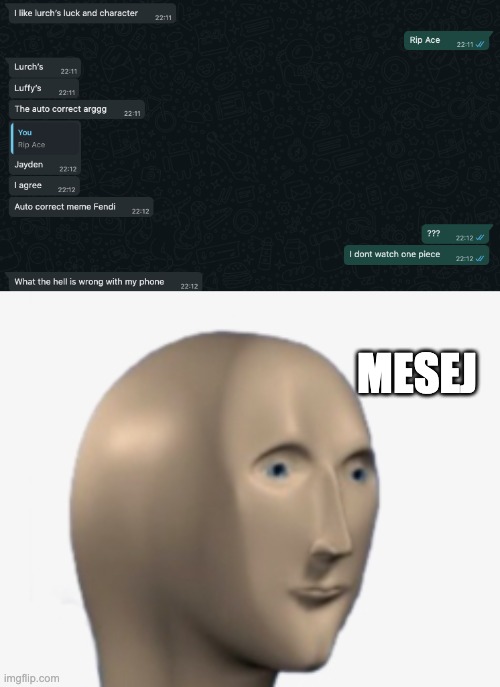 mesej | MESEJ | image tagged in autocorrect | made w/ Imgflip meme maker