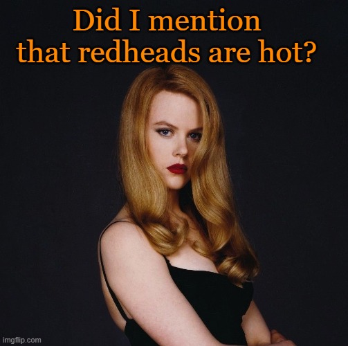 Well, did I? | Did I mention that redheads are hot? | image tagged in redheads,hot | made w/ Imgflip meme maker