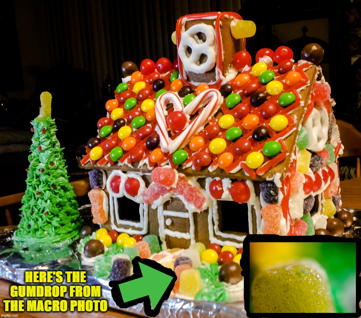 Just so you can see how little that gumdrop is | HERE'S THE GUMDROP FROM THE MACRO PHOTO | image tagged in original photography,gingerbread house,gumdrop,macro | made w/ Imgflip meme maker