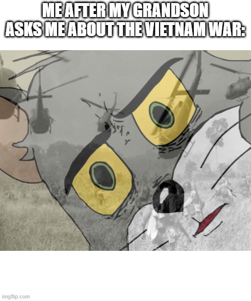 Unsettled tom vietnam |  ME AFTER MY GRANDSON ASKS ME ABOUT THE VIETNAM WAR: | image tagged in unsettled tom vietnam | made w/ Imgflip meme maker