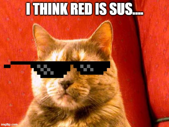 Suspicious Cat | I THINK RED IS SUS.... | image tagged in memes,suspicious cat | made w/ Imgflip meme maker