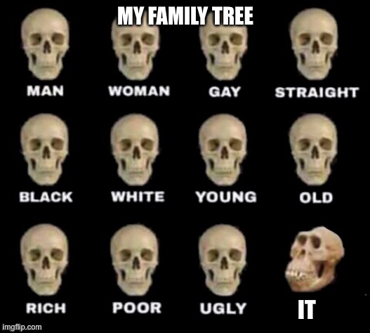 It,them and object | MY FAMILY TREE; IT | image tagged in idiot skull,funny,funny memes,skull | made w/ Imgflip meme maker