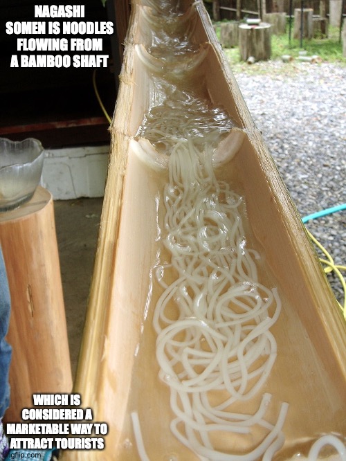 Nagashi Somen | NAGASHI SOMEN IS NOODLES FLOWING FROM A BAMBOO SHAFT; WHICH IS CONSIDERED A MARKETABLE WAY TO ATTRACT TOURISTS | image tagged in noodles,food,memes | made w/ Imgflip meme maker