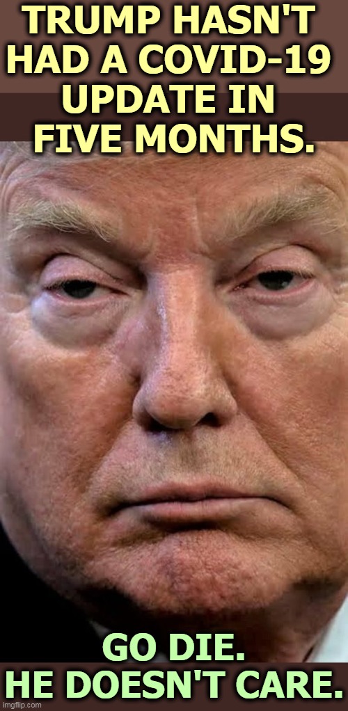 Trump's roof has a few tiles missing.. | TRUMP HASN'T 
HAD A COVID-19 
UPDATE IN 
FIVE MONTHS. GO DIE.
HE DOESN'T CARE. | image tagged in trump,pandemic,coronavirus,covid-19,incompetence | made w/ Imgflip meme maker