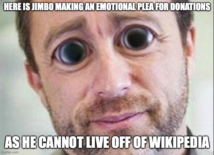 Jimbo Wales Puppy Face | HERE IS JIMBO MAKING AN EMOTIONAL PLEA FOR DONATIONS; AS HE CANNOT LIVE OFF OF WIKIPEDIA | image tagged in jimbo wales,memes | made w/ Imgflip meme maker