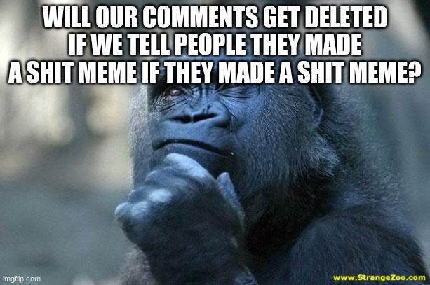 people can say if a meme is funny, what about the opposite? | WILL OUR COMMENTS GET DELETED IF WE TELL PEOPLE THEY MADE A SHIT MEME IF THEY MADE A SHIT MEME? | image tagged in deep thoughts | made w/ Imgflip meme maker
