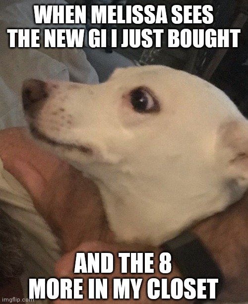Doge Face | WHEN MELISSA SEES THE NEW GI I JUST BOUGHT; AND THE 8 MORE IN MY CLOSET | image tagged in doge | made w/ Imgflip meme maker