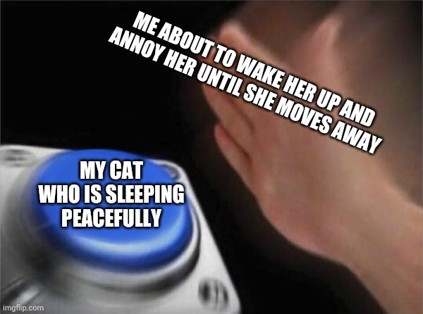 Blank Nut Button Meme | ME ABOUT TO WAKE HER UP AND ANNOY HER UNTIL SHE MOVES AWAY; MY CAT WHO IS SLEEPING PEACEFULLY | image tagged in memes,blank nut button | made w/ Imgflip meme maker