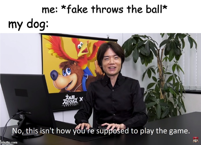 This Isn't How You're Supposed to Play the GaME | me: *fake throws the ball*; my dog: | image tagged in this isn't how you're supposed to play the game | made w/ Imgflip meme maker