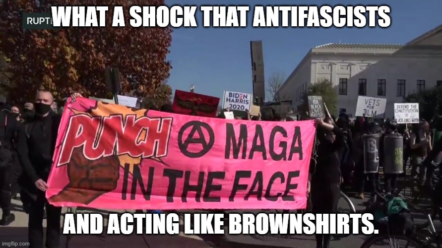 The minipea approve this message. | WHAT A SHOCK THAT ANTIFASCISTS; AND ACTING LIKE BROWNSHIRTS. | image tagged in punch a maga,1985,maga,antifa | made w/ Imgflip meme maker