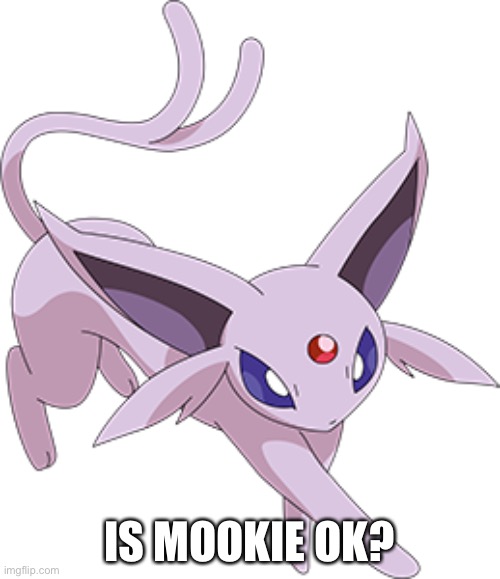 I’m not either but I’m getting suspicious of something | IS MOOKIE OK? | made w/ Imgflip meme maker