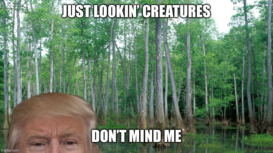 trump swamp | JUST LOOKIN’ CREATURES; DON’T MIND ME | image tagged in trump swamp | made w/ Imgflip meme maker