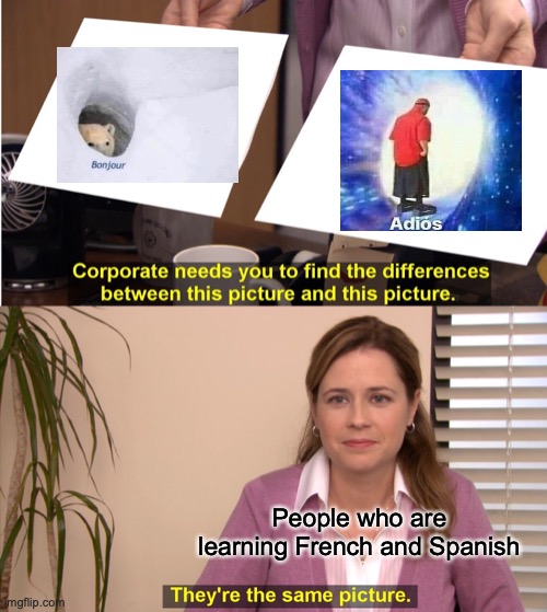 They're The Same Picture Meme | People who are learning French and Spanish | image tagged in memes,they're the same picture | made w/ Imgflip meme maker