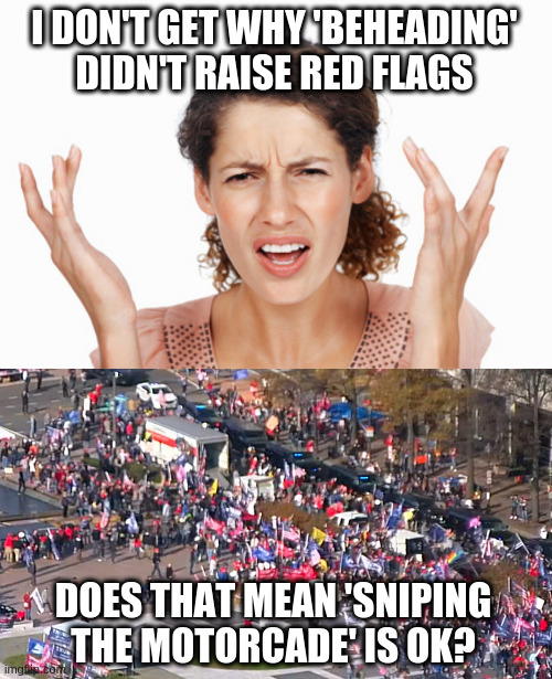 I DON'T GET WHY 'BEHEADING' DIDN'T RAISE RED FLAGS DOES THAT MEAN 'SNIPING THE MOTORCADE' IS OK? | image tagged in indignant,millions | made w/ Imgflip meme maker