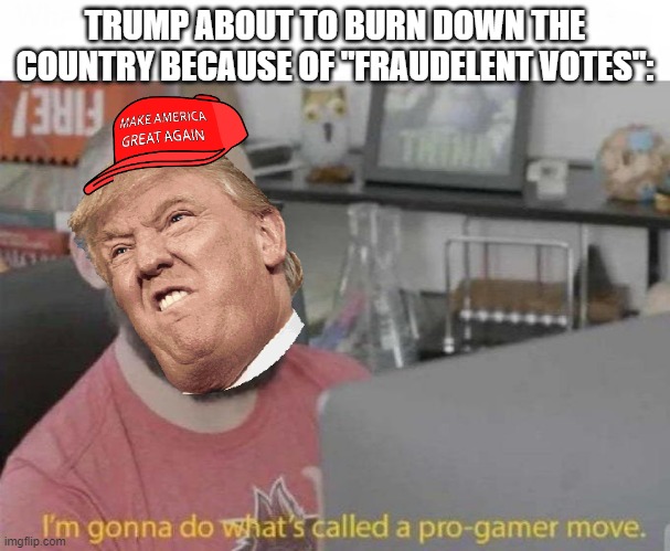 Pro Gamer move | TRUMP ABOUT TO BURN DOWN THE COUNTRY BECAUSE OF "FRAUDELENT VOTES": | image tagged in pro gamer move | made w/ Imgflip meme maker