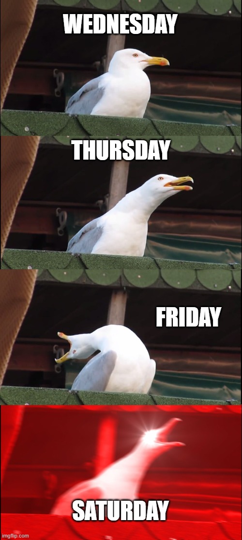 a normal week | WEDNESDAY; THURSDAY; FRIDAY; SATURDAY | image tagged in memes,inhaling seagull | made w/ Imgflip meme maker