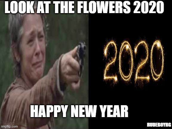Look at the Flowers 2020 | LOOK AT THE FLOWERS 2020; HAPPY NEW YEAR; RUDEBOYRG | image tagged in look at the flowers,walking dead,happy new year,new year 2020,new year 2021 | made w/ Imgflip meme maker