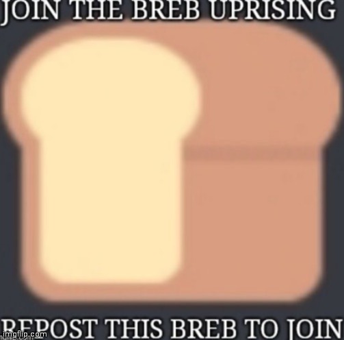 Doing the thing again | image tagged in join the breb uprising | made w/ Imgflip meme maker