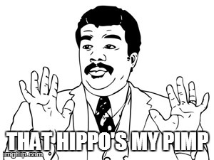 Neil deGrasse Tyson Meme | THAT HIPPO'S MY PIMP | image tagged in memes,neil degrasse tyson | made w/ Imgflip meme maker