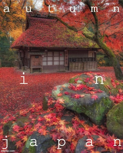 [Motion to send autumnal envoys to Japan] | a  u  t  u  m  n; i      n; j  a  p  a  n | image tagged in autumn in japan,autumn,japan,meanwhile in japan,autumn leaves,fall | made w/ Imgflip meme maker