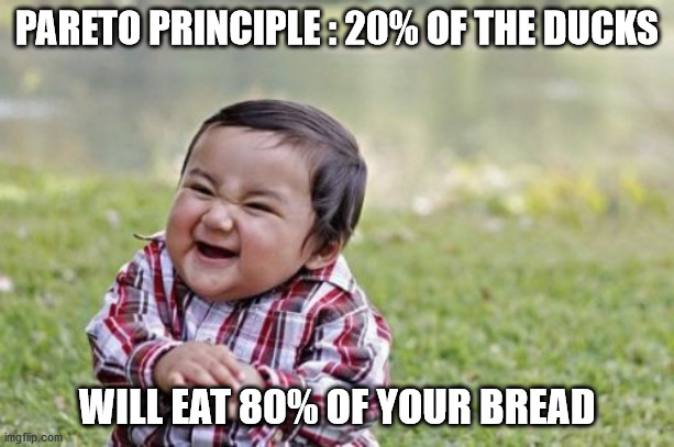 Evil Toddler Meme | PARETO PRINCIPLE : 20% OF THE DUCKS; WILL EAT 80% OF YOUR BREAD | image tagged in memes,evil toddler | made w/ Imgflip meme maker